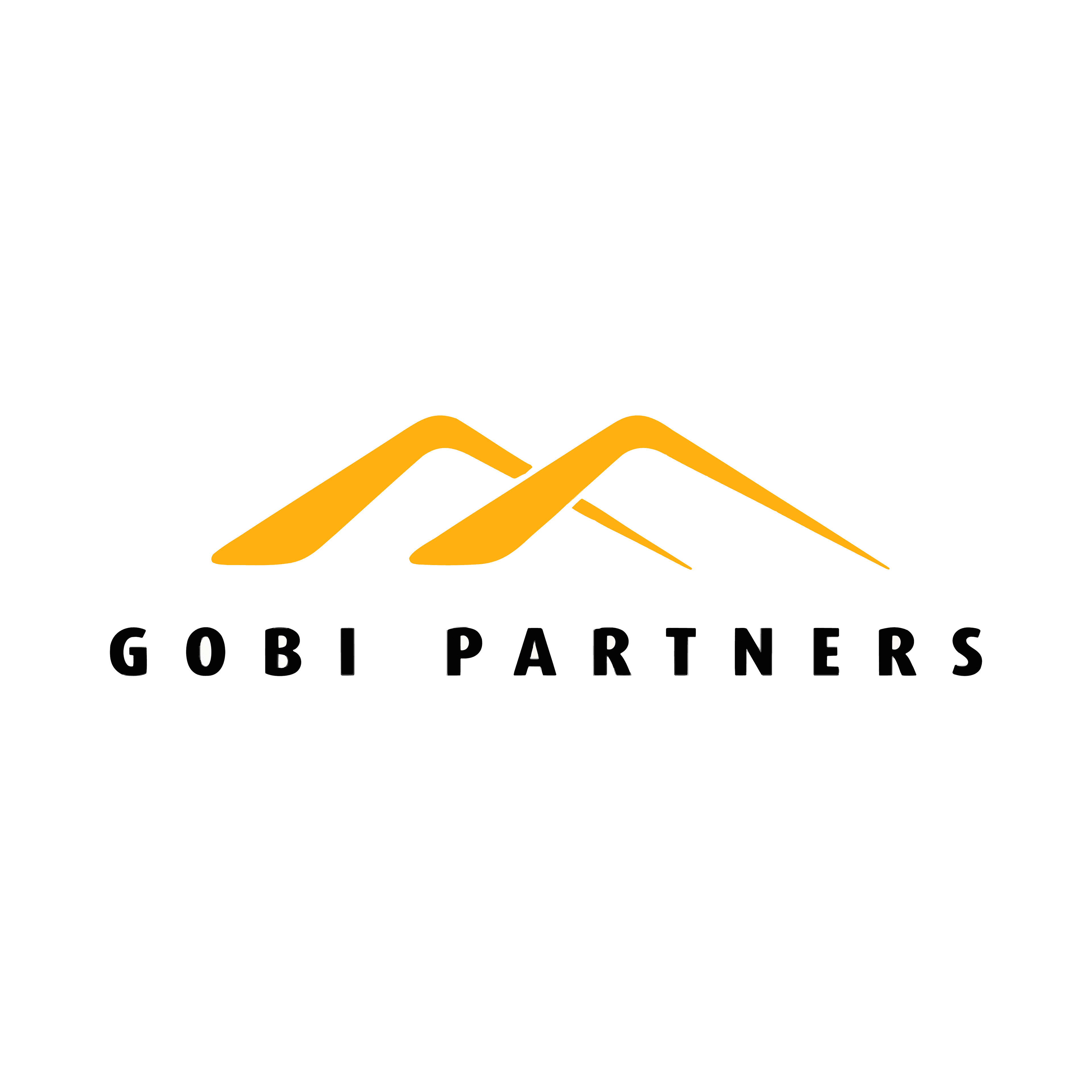 Gobi Partners