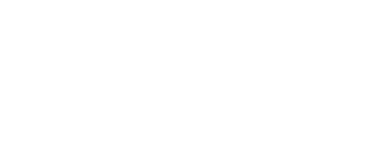 PASHA Holding