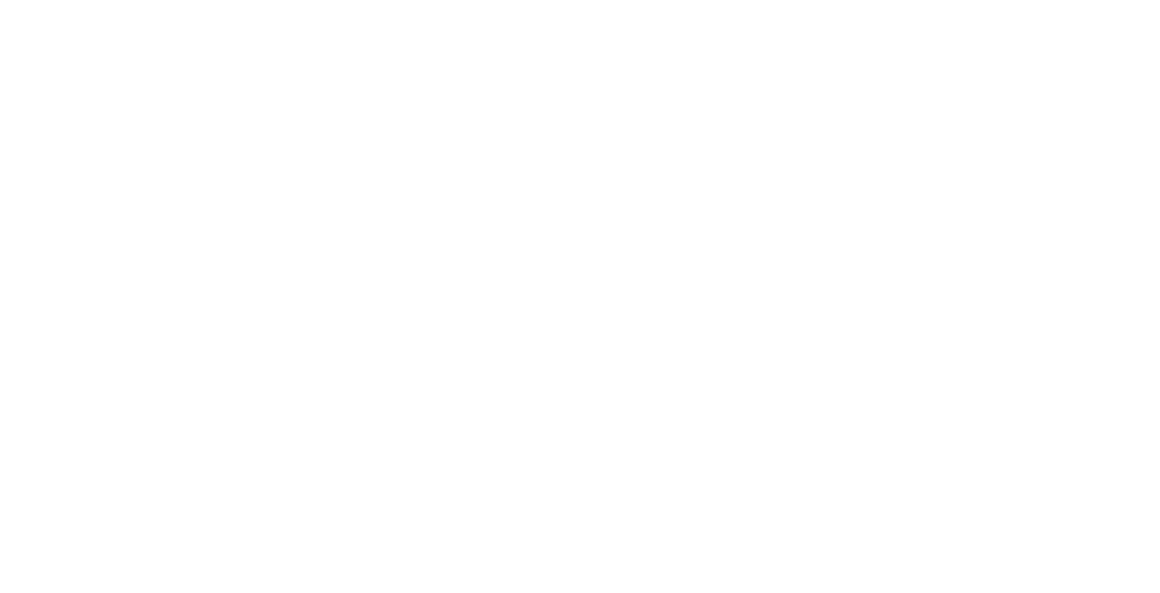 PASHA Holding